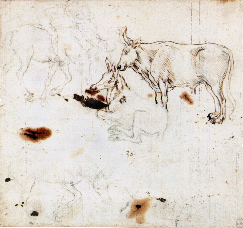 Leonardo+da+Vinci-1452-1519 (315).jpg